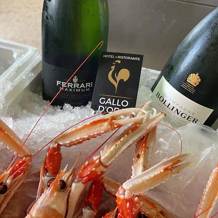 Hotel Ristorante Gallo D'Oro Vignola  Dış mekan fotoğraf